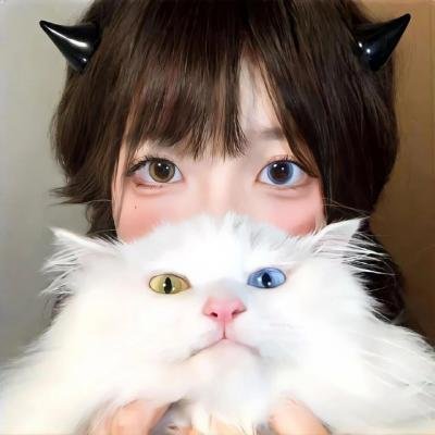 阿卡普高第四季